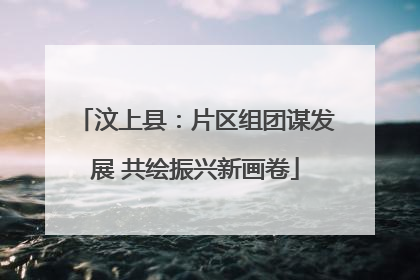 汶上县：片区组团谋发展 共绘振兴新画卷