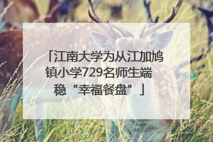 江南大学为从江加鸠镇小学729名师生端稳“幸福餐盘”