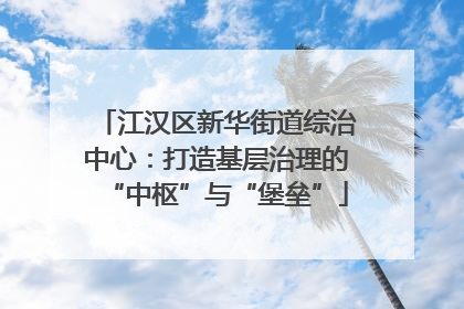 江汉区新华街道综治中心：打造基层治理的“中枢”与“堡垒”
