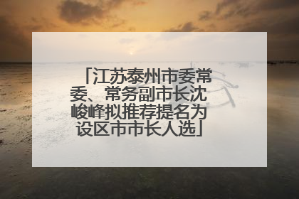 江苏泰州市委常委、常务副市长沈峻峰拟推荐提名为设区市市长人选