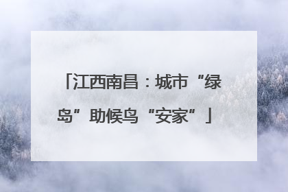 江西南昌：城市“绿岛”助候鸟“安家”