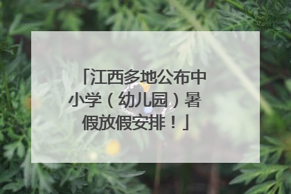 江西多地公布中小学（幼儿园）暑假放假安排！