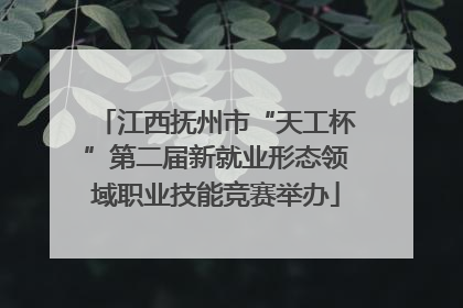 江西抚州市“天工杯”第二届新就业形态领域职业技能竞赛举办