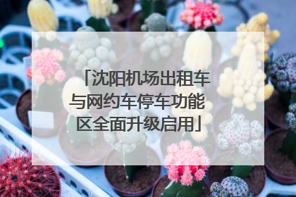 沈阳机场出租车与网约车停车功能区全面升级启用
