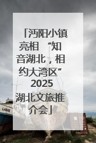 沔阳小镇亮相 “知音湖北，相约大湾区” 2025湖北文旅推介会