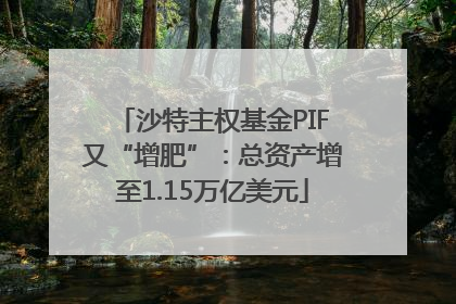 沙特主权基金PIF又“增肥”：总资产增至1.15万亿美元