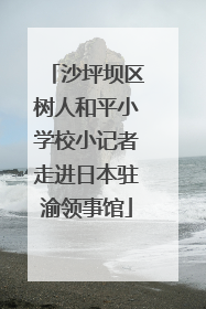 沙坪坝区树人和平小学校小记者走进日本驻渝领事馆
