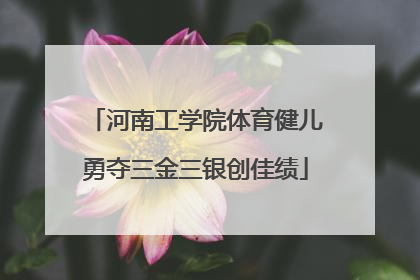 河南工学院体育健儿勇夺三金三银创佳绩