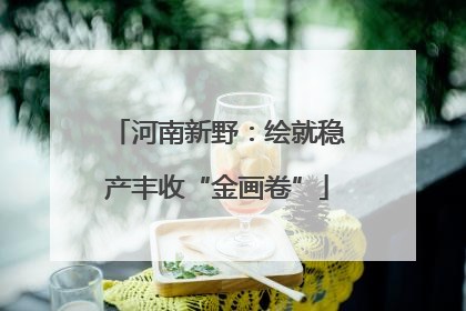河南新野：绘就稳产丰收“金画卷”