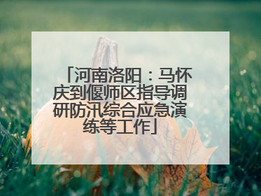 河南洛阳：马怀庆到偃师区指导调研防汛综合应急演练等工作