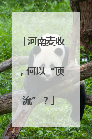 河南麦收，何以“顶流”？