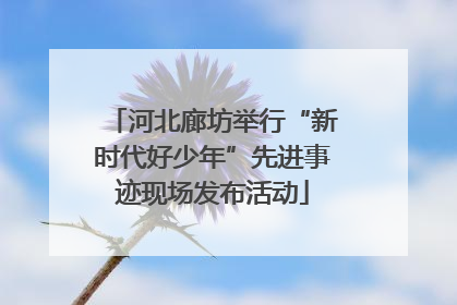 河北廊坊举行“新时代好少年”先进事迹现场发布活动