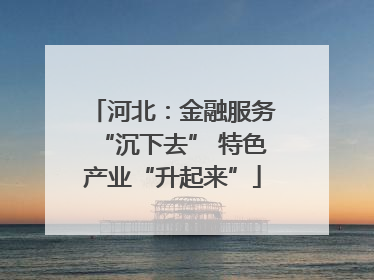河北：金融服务“沉下去” 特色产业“升起来”