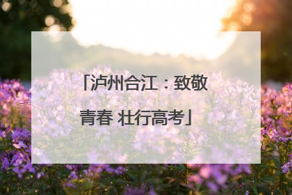 泸州合江：致敬青春 壮行高考