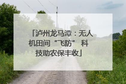 泸州龙马潭：无人机田间“飞防” 科技助农保丰收