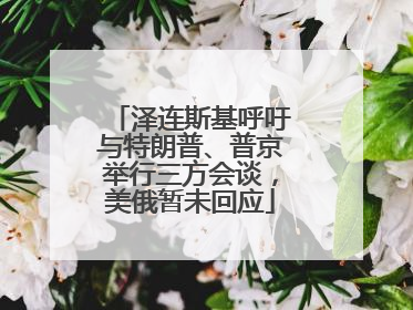 泽连斯基呼吁与特朗普、普京举行三方会谈，美俄暂未回应