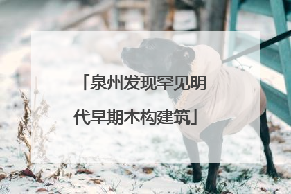 泉州发现罕见明代早期木构建筑