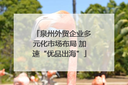 泉州外贸企业多元化市场布局 加速“优品出海”