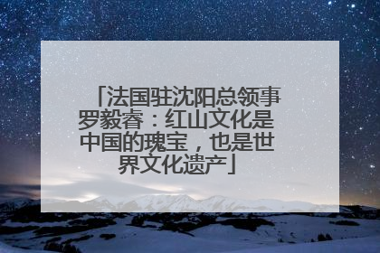 法国驻沈阳总领事罗毅睿：红山文化是中国的瑰宝，也是世界文化遗产