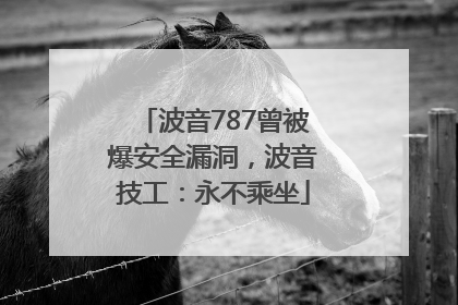 波音787曾被爆安全漏洞，波音技工：永不乘坐