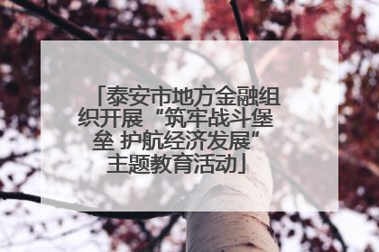 泰安市地方金融组织开展“筑牢战斗堡垒 护航经济发展”主题教育活动