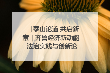 泰山论道 共启新章｜齐鲁经济新动能 法治实践与创新论坛成功举办