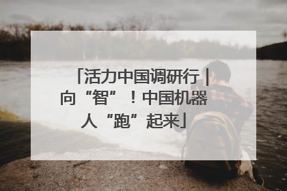 活力中国调研行｜向“智”！中国机器人“跑”起来