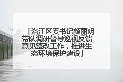 洛江区委书记颜丽明带队调研督导巡视反馈意见整改工作，推进生态环境保护建设
