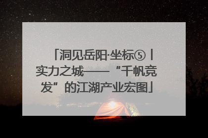 洞见岳阳·坐标⑤丨实力之城——“千帆竞发”的江湖产业宏图