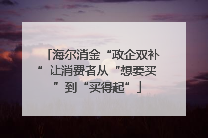 海尔消金“政企双补”让消费者从“想要买”到“买得起”