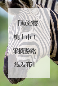 海淀樱桃上市！采摘游路线发布