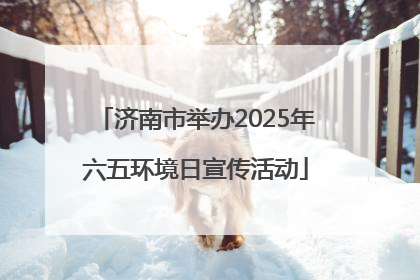济南市举办2025年六五环境日宣传活动