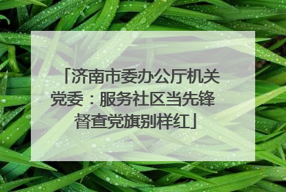 济南市委办公厅机关党委：服务社区当先锋 督查党旗别样红