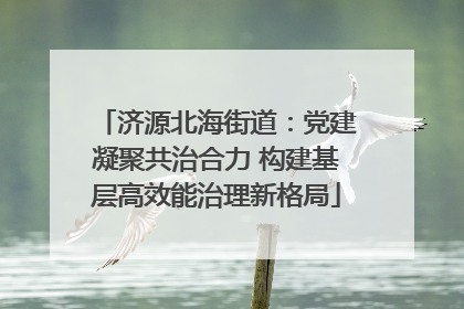 济源北海街道：党建凝聚共治合力 构建基层高效能治理新格局