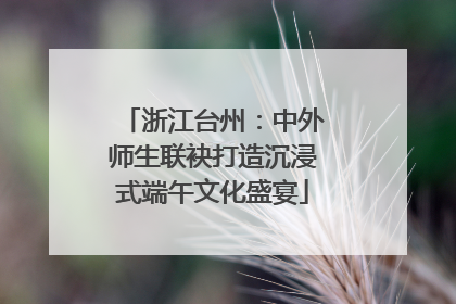 浙江台州：中外师生联袂打造沉浸式端午文化盛宴