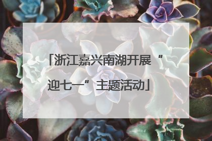 浙江嘉兴南湖开展“迎七一”主题活动