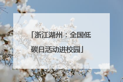 浙江湖州：全国低碳日活动进校园