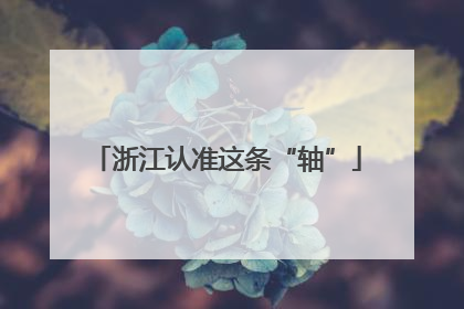 浙江认准这条“轴”
