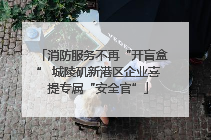 消防服务不再“开盲盒” 城陵矶新港区企业喜提专属“安全官”