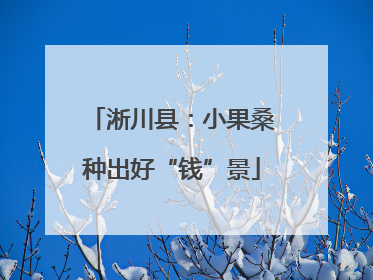 淅川县：小果桑种出好“钱”景