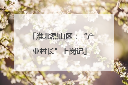 淮北烈山区：“产业村长”上岗记