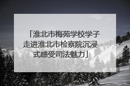 淮北市梅苑学校学子走进淮北市检察院沉浸式感受司法魅力