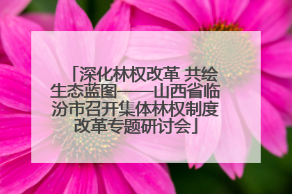 深化林权改革 共绘生态蓝图——山西省临汾市召开集体林权制度改革专题研讨会