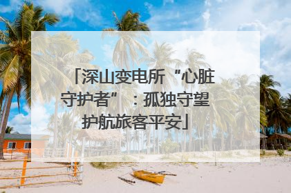 深山变电所“心脏守护者”：孤独守望护航旅客平安