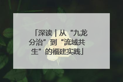 深读｜从“九龙分治”到“流域共生”的福建实践