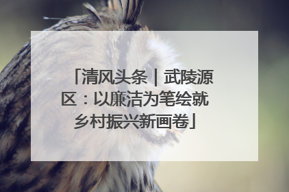 清风头条｜武陵源区：以廉洁为笔绘就乡村振兴新画卷