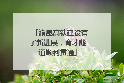 渝昆高铁建设有了新进展，育才隧道顺利贯通