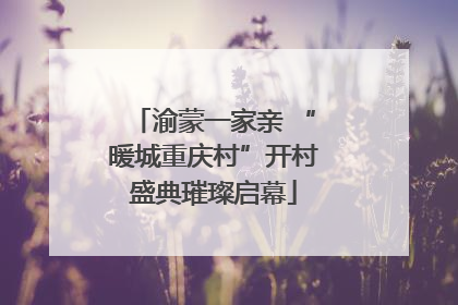 渝蒙一家亲 “暖城重庆村”开村盛典璀璨启幕