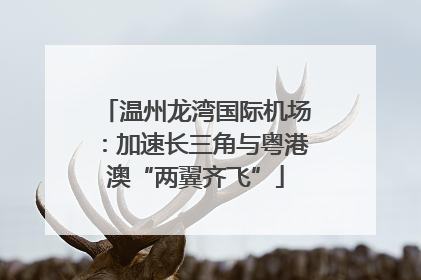 温州龙湾国际机场：加速长三角与粤港澳“两翼齐飞”