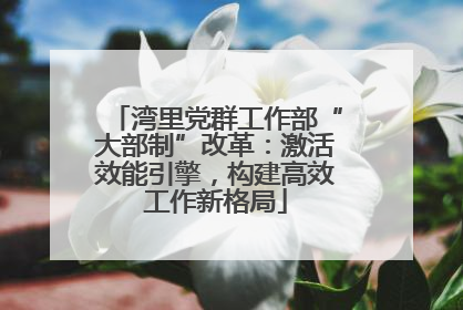 湾里党群工作部“大部制”改革：激活效能引擎，构建高效工作新格局